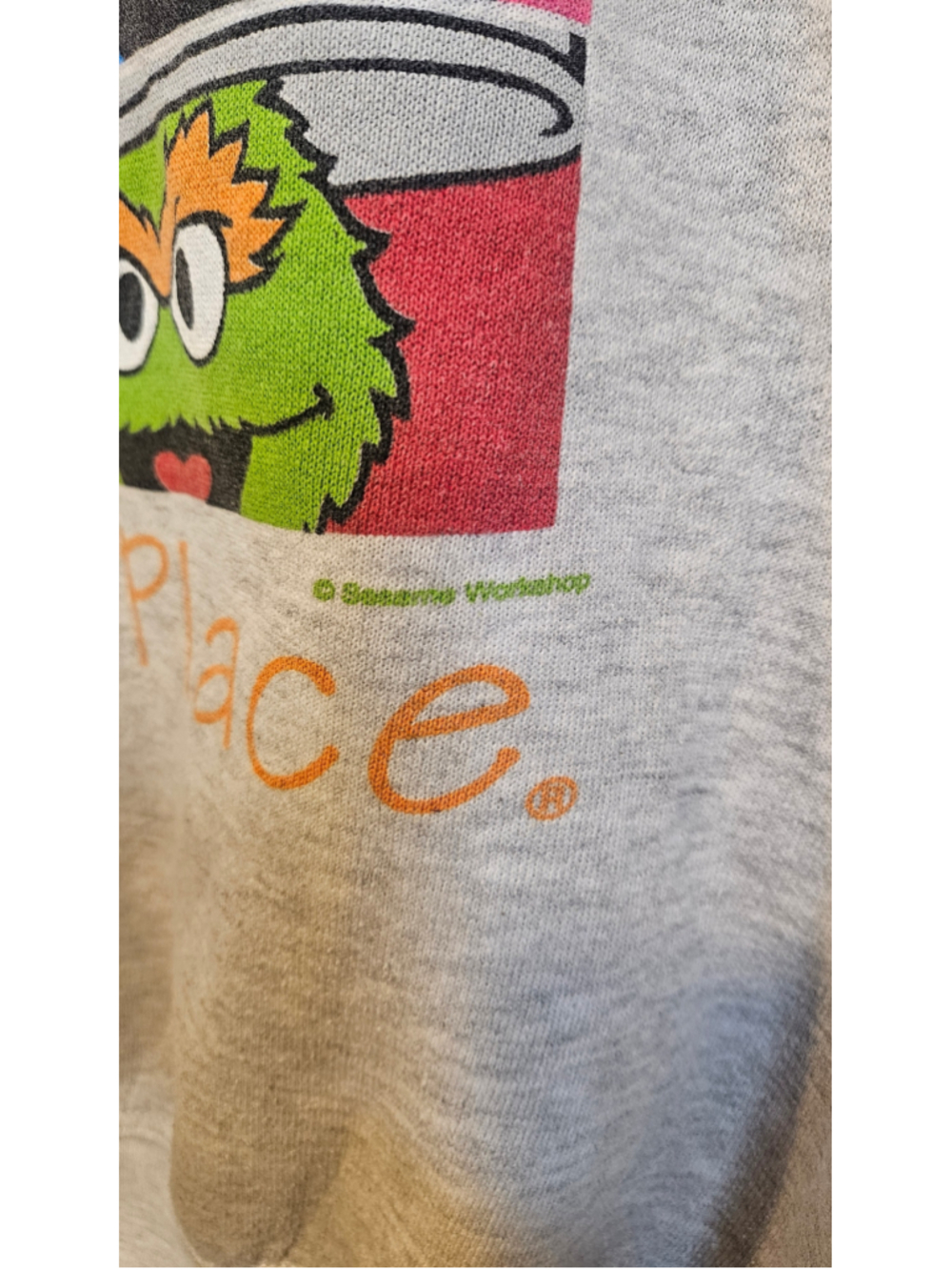 Vintage Y2K Sesame Place Friends Sweatshirt Lee Bert Ernie Elmo Gray - Picture 3 of 8